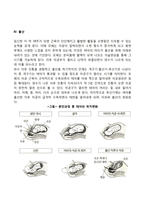 [태아발달] 태아기 발달단계-5