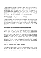 영아기 인지발달(피아제의 감각운동기)-3