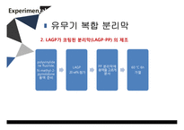 LAGP 분리막을 이용한 리튬이온배터리 안전성 강화-8