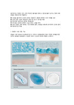 INNERWEAR 소재 트렌드 분석-4