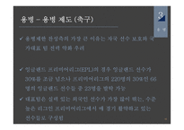 귀화, 혼혈 선수와 용병-15