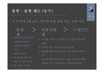 귀화, 혼혈 선수와 용병-16