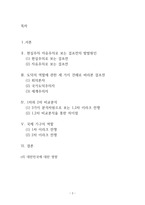1,2차 이라크 전쟁 분석-2