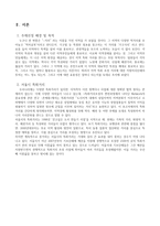 특화거리 사례와 문제점 및 해결방안-3