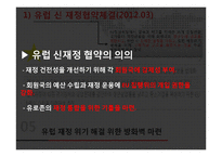 유럽 재정 위기 분석-16