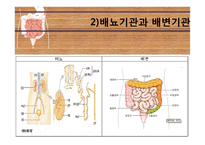 노인의 배설 장애와 관련 정책 연구-5