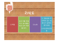 노인의 배설 장애와 관련 정책 연구-13