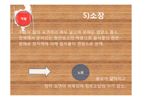 노인의 배설 장애와 관련 정책 연구-16