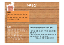 노인의 배설 장애와 관련 정책 연구-17