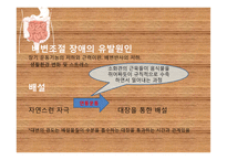 노인의 배설 장애와 관련 정책 연구-19