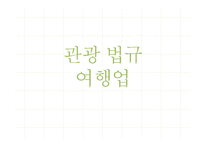 관광법규와 정책-여행업의 정책과 발전 방향-1