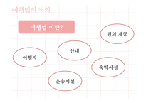 관광법규와 정책-여행업의 정책과 발전 방향-3