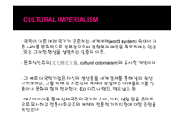 디즈니랜드의 세계시장 진출이 문화 소비자에게 주는 함이 고찰-18