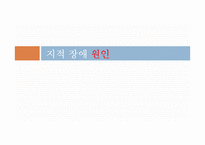 지적 장애아동 지도법-11
