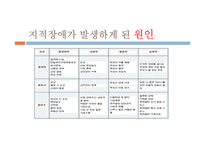 지적 장애아동 지도법-12