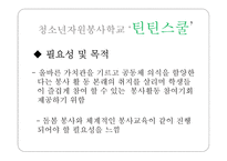 자원봉사 기관 및 프로그램 분석-10