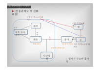 단군신화의 실존여부 연구-11