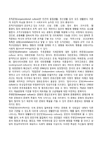 [문화체계] 문화의 개념과 기능, 문화의 특성 및 유형, 문화와 사회복지실천-5