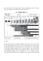 [태내기 발달] 태아의 발달단계, 태내환경과 영향요인, 출산의 과정-3