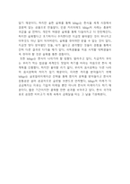 비비고 bibigo 분석과 마케팅전략및 비비고 SWOT,STP분석및 나의의견정리 - 비비고 마케팅연구-13