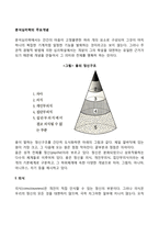 분석심리학의 주요개념-2