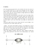 분석심리학의 주요개념-4