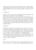 피아제의 인지발달이론의 주요개념과 특징, 인지발달단계-3