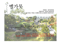 [원예학, 허브학]베르가못(벨가못)-12