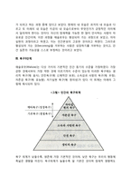 매슬로우의 욕구위계이론의 주요개념과 특징-3