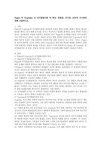 Piaget 와 Vygotsky 의 인지발달이론 의 특성, 공통점, 차이점, 교육적 시사점에 대해 서술하시오.-2