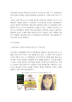 CJ대한통운 성공요인과 CJ대한통운 마케팅전략 사례분석 - 대한통운 마케팅연구-11