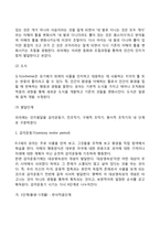 [피아제의 인지이론] 인지발달이론의 주요개념과 특징, 인지발달단계, 피아제 이론의 평가-4