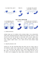 [피아제의 인지이론] 인지발달이론의 주요개념과 특징, 인지발달단계, 피아제 이론의 평가-9