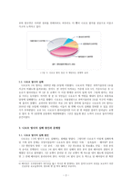 거듭된 실패와 재도전 - 나로호 발사 실패의 문제점과 개선 방안 --3