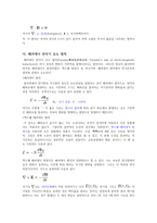 전기장과 자기장 관계를 기술하는 4가지 공식-3