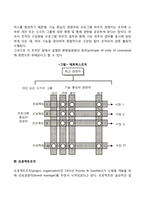 [기업의 경영조직구조 형태] 애드호크라시, 매트릭스조직, 프로젝트조직, 위원회조직-3