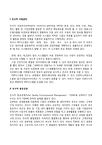 전사적 자원관리, 전사적 환경경영, 전략평가시스템-2