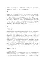 사회복지조직의 인적자원관리의 문제점과 대응방안 사회복지조직의 인적자원관리의 현황과 문제점을 분석하고 그에 대한 대응방안을 제시하시오-1