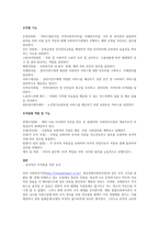 우리나라 사회복지조직 및 구조의 이해와 효과적 운영방안은 무엇인가-2