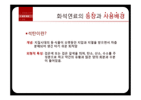 기술과 사회 - 대체에너지 기술 현황과 미래-6