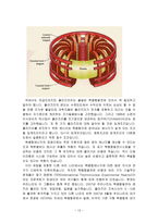 대체에너지와 환경-13