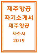 제주항공자소서 제주항공자기소개서 제주항공 객실승무원자소서 제주항공 자기소개서 제주항공 인턴 승무원 자소서 제주항공자기소개서 예문 제주항공-1