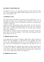 퀸과 킴벌리의 조직문화(기업문화) 유형-2
