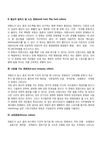 딜과 케네디의 조직문화(기업문화) 유형-3