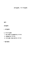 조직문화, 사이버문화-1