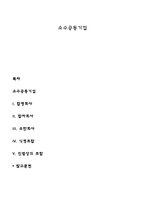 소수공동기업 레포트-1