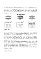 미래형 최고경영자(CEO)-3