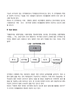 조직구조의 형태-3