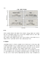 전략격자모형(BCG매트릭스)-3