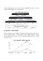 마케팅 믹스 4P전략과 제품수명주기 단계별 마케팅관리에 대하여 설명하시오-5